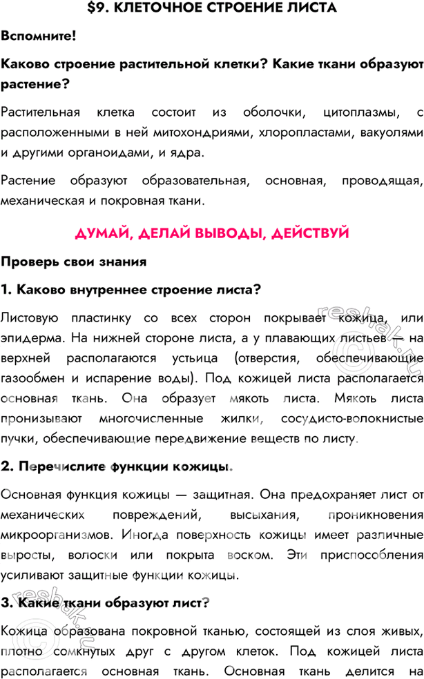 Изображение $9. КЛЕТОЧНОЕ СТРОЕНИЕ ЛИСТАВспомните!Каково строение растительной клетки? Какие ткани образуют растение?Растительная клетка состоит из оболочки, цитоплазмы, с...