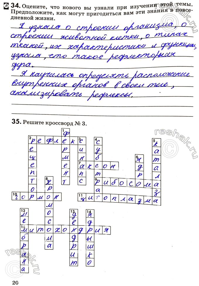 Изображение 34. Оцените, что нового вы узнали при изучении этой темы. Предположите, как могут пригодиться вам эти знания в повседневной жизни.35. Решите кроссворд №...