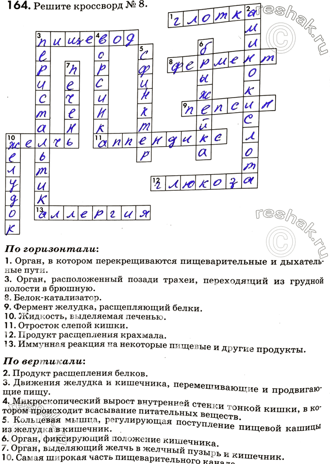 Изображение 164. Решите кроссворд №8.По горизонтали:1. Орган, в котором перекрещиваются пищеварительные и дыхательные пути.3. Орган, расположенный позади трахеи, переходящий...