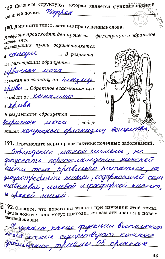 Изображение 189. Назовите структуру, которая является функциональной единицей почки.190. Допишите текст, вставив пропущенные слова.В нефроне происходят два процесса — фильтрация...