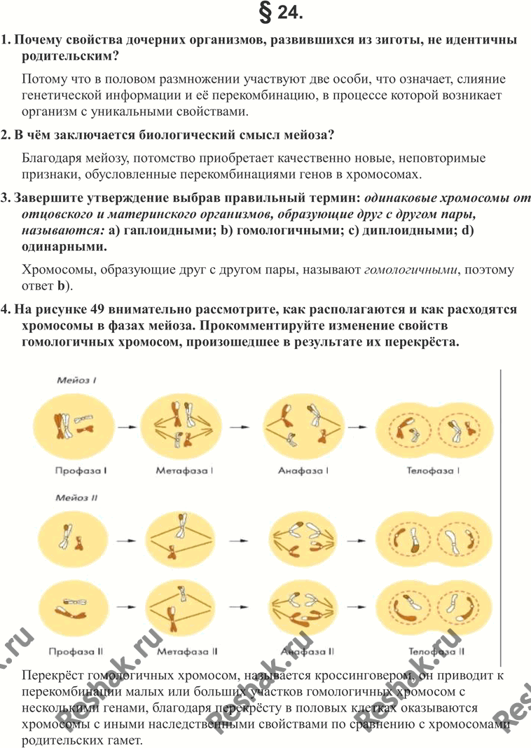 Изображение 1. Почему свойства дочерних организмов, развившихся из зиготы, не идентичны родительским?2. В чём заключается биологический смысл мейоза?3. Завершите утверждение,...