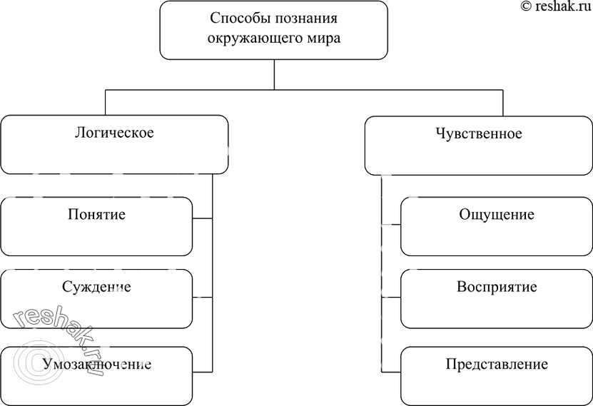 Изображение Упр.76 Часть 1 ГДЗ Рабочая тетрадь Босова 6 класс