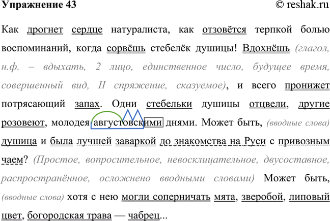 Изображение 1. Запишите текст, объясните правописание глаголов. Самостоятельно сформулируйте задания, направленные на лексический разбор текста (см. опорный материал, с....